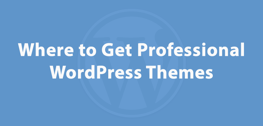 Premium WordPress Theme Providers