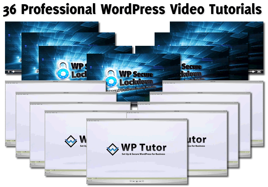 Professional WordPress Video Tutorials